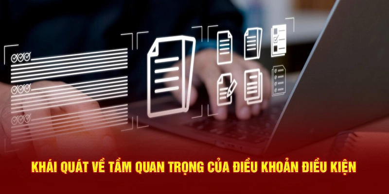 Khái quát về tầm quan trọng của Điều Khoản Điều Kiện